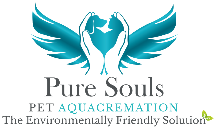 Pure Souls Logo